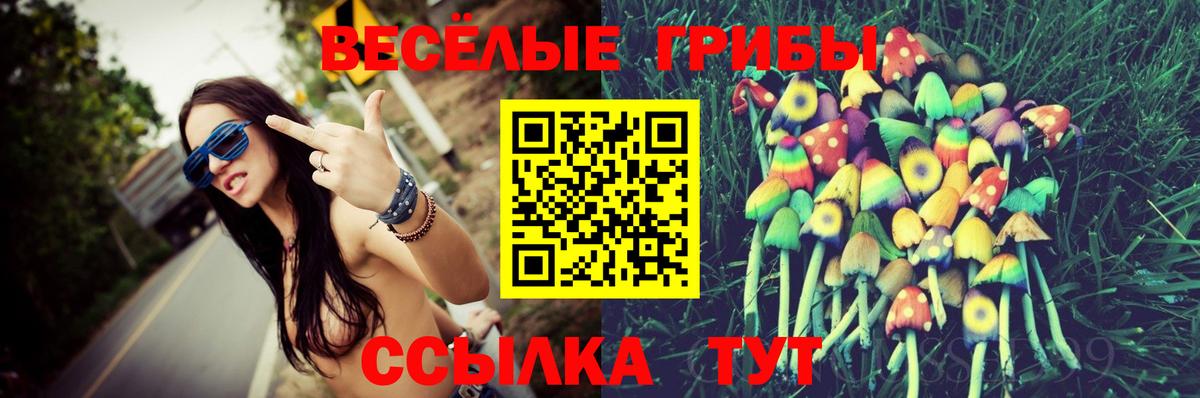Псилоцибиновые грибы Cubensis  Вход с VPN  Псилоцибиновые грибы прущие грибы  Луховицы 