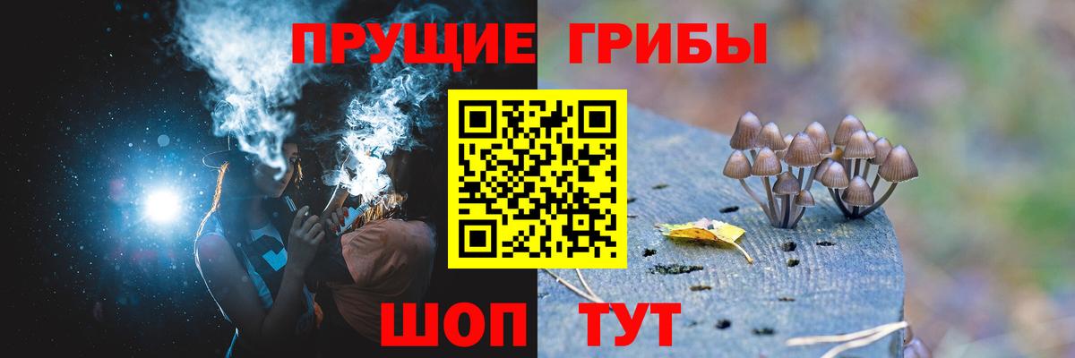 Галлюциногенные грибы Psilocybe Луховицы
